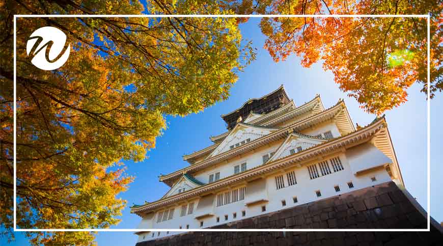 Ask the Experts – Japan