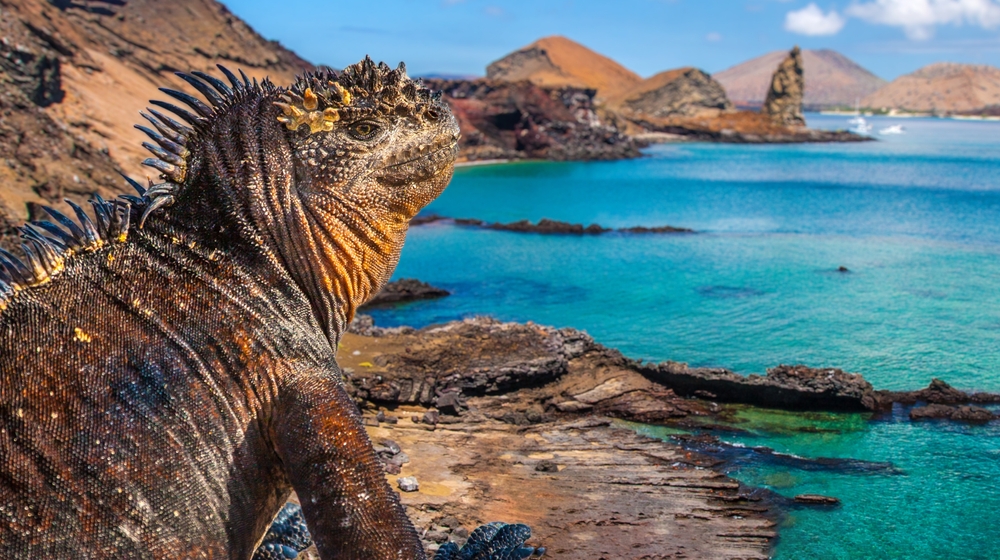 7 Interesting Facts About the Galapagos Islands