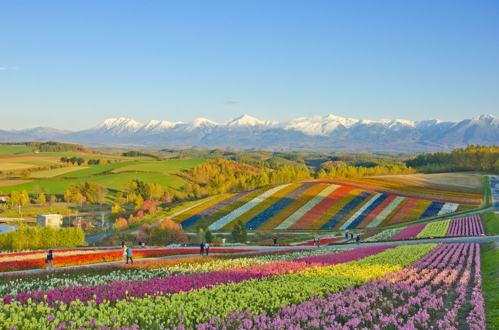 Let’s Go to Hokkaido!