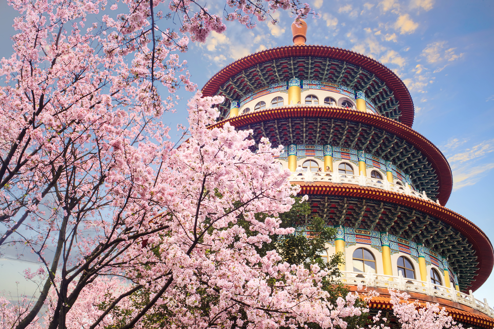 Places to see the cherry blossom outside of Japan