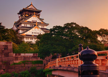 Immerse Yourself - Japan