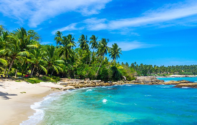 DAY 2: GOA CITY TOUR