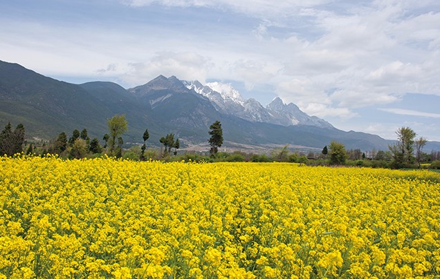 Day 7: Jade Dragon Snow Mountain