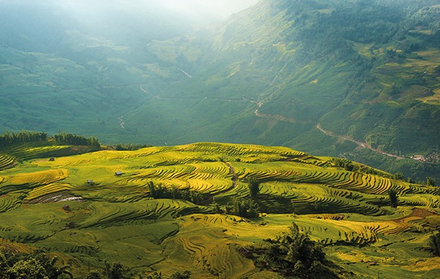 DAYS 5-6: Lush Rice Terraces