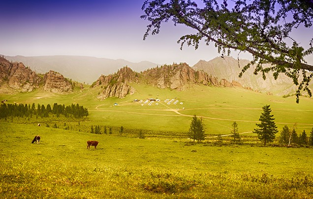 Day 1: Ulaanbaatar to Terelj National Park