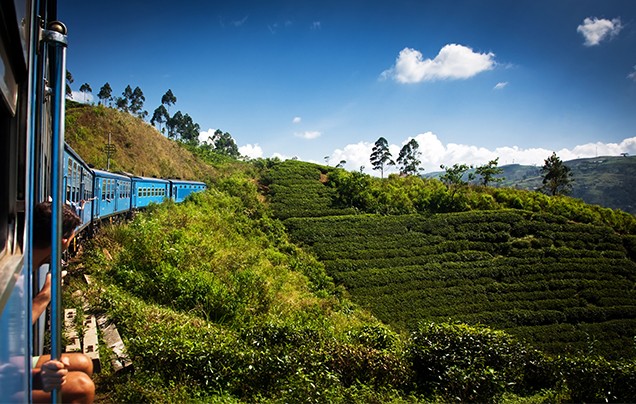 Day 8: Christmas Eve - Nuwara Eliya