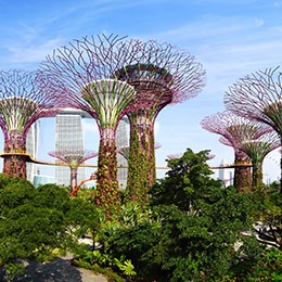 Gardens By the Bay