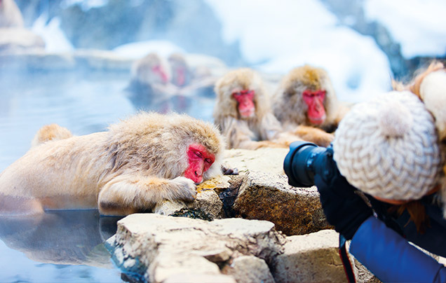 DAY 6: Search for Snow Monkeys