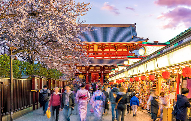 DAY 4: Discover Tokyo