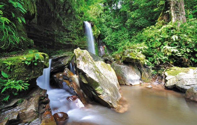DAY 10: Kinabalu Park