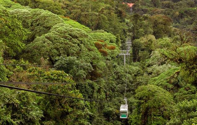 DAY 8: TRAVEL TO MONTEVERDE