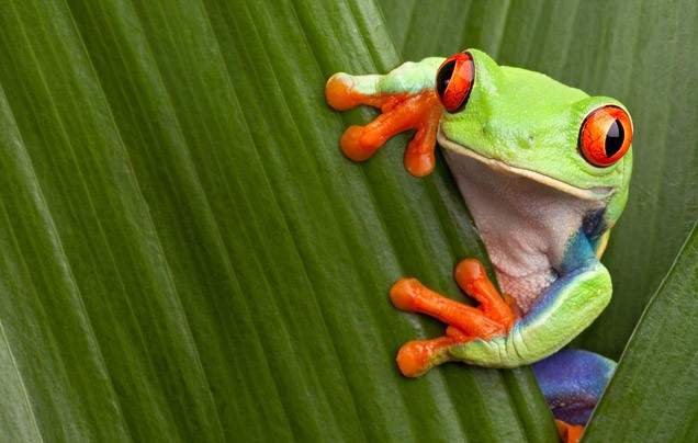 Day 5: TRAVEL TO ARENAL