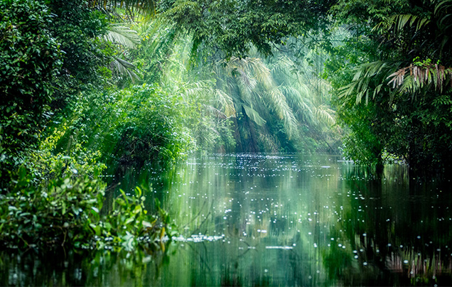 DAY 3: TRAVEL TO TORTUGUERO VILLAGE