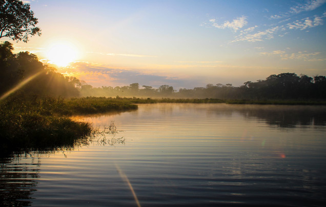 DAY 1: TRAVEL TO PUERTO MALDONADO