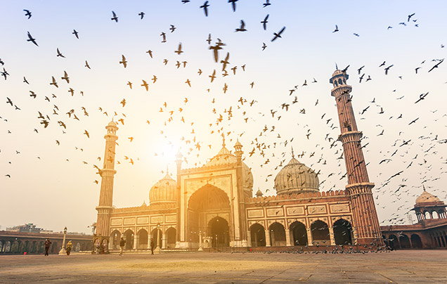 Day 3: Discover Delhi