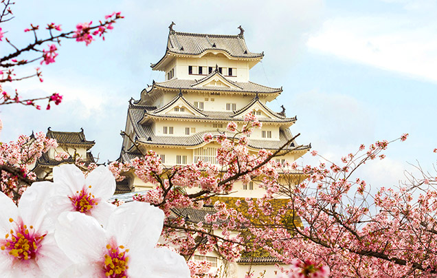 Tour image