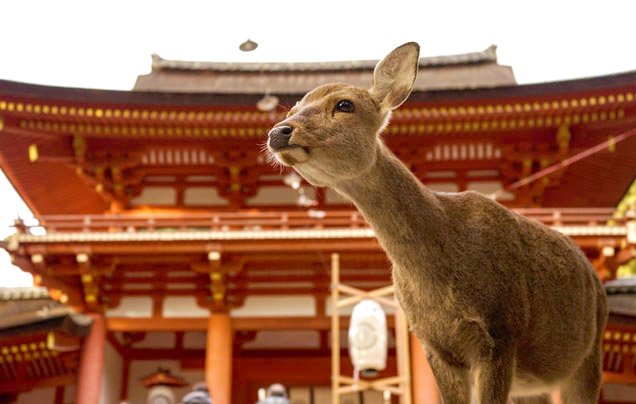 Tour image