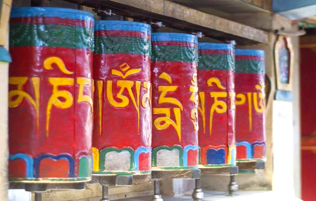 Day 7: Explore Dharamshala