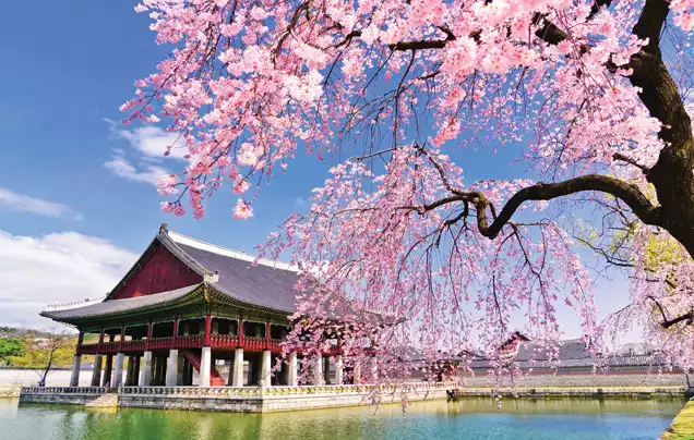 DAY 2: EXPLORE SEOUL