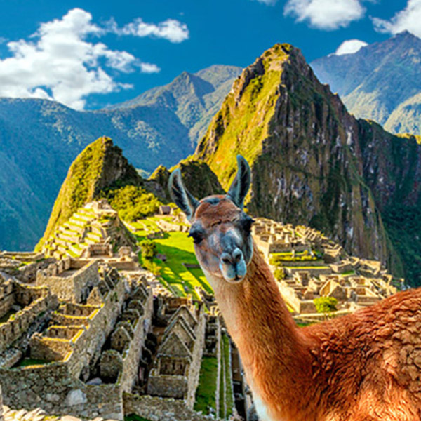 MACHU PICCHU