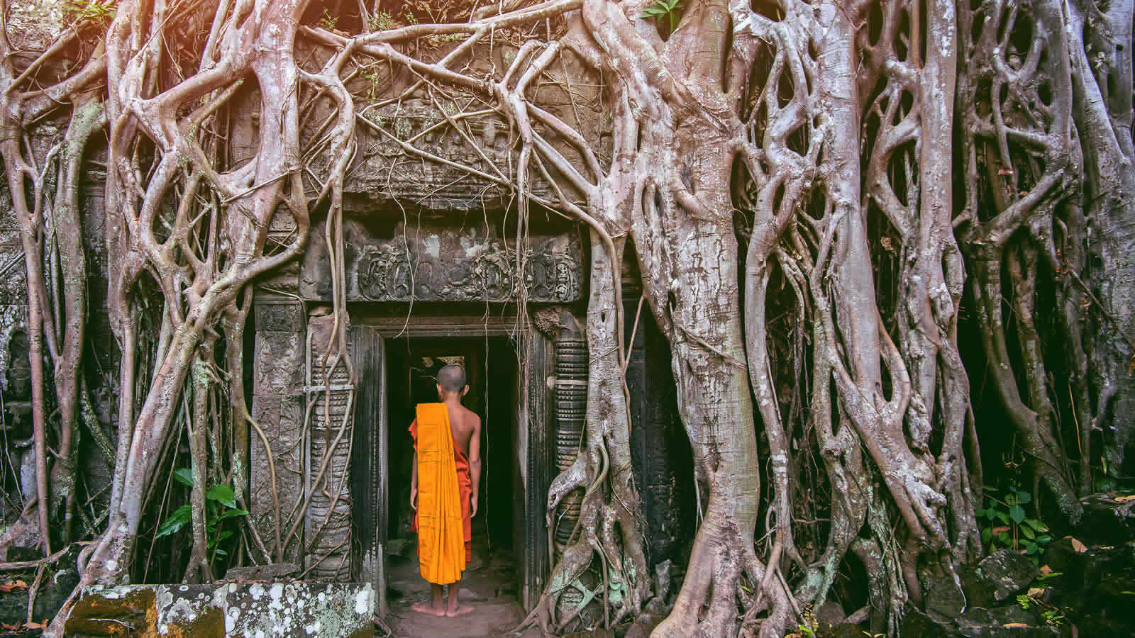 Tour image