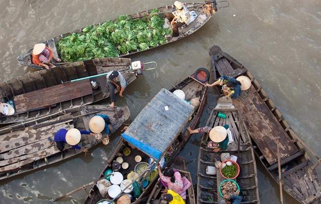 Day 13: Tiger Island