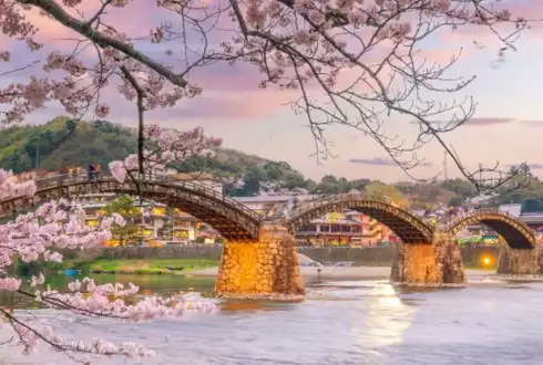 Japan & the Scenic South