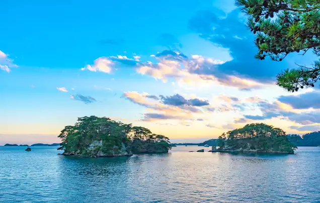 DAY 7: Cruise Matsushima Bay