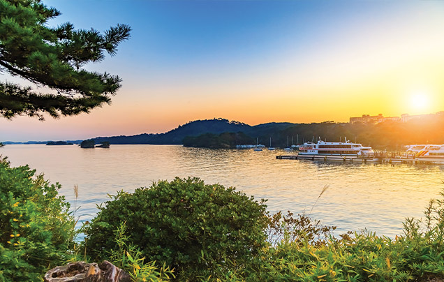 DAY 7: Cruise Matsushima Bay