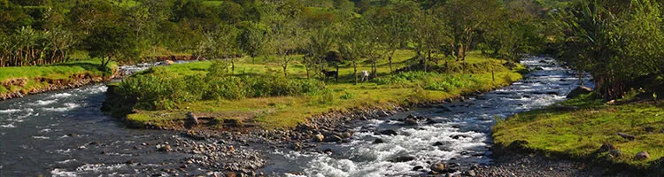 Explore Costa Rica's Cloudforest