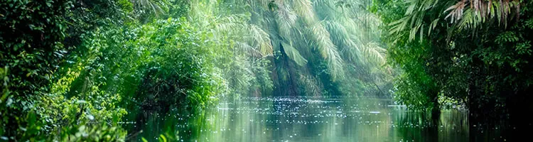 Tortugero National Park Cruise