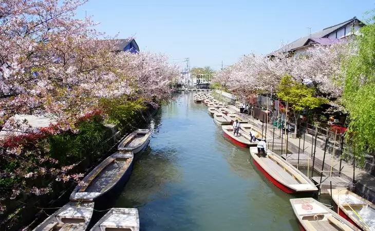 Cruise on the Yanagawa River