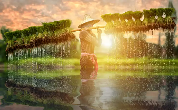 Candirejo Village Experience