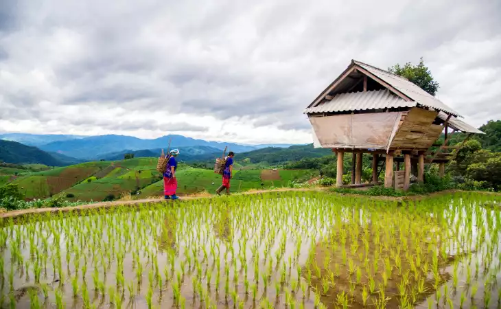 Spend the Night in a Jungle Lodge 