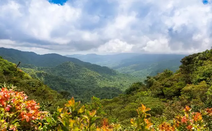 Explore Costa Rica's Cloudforest