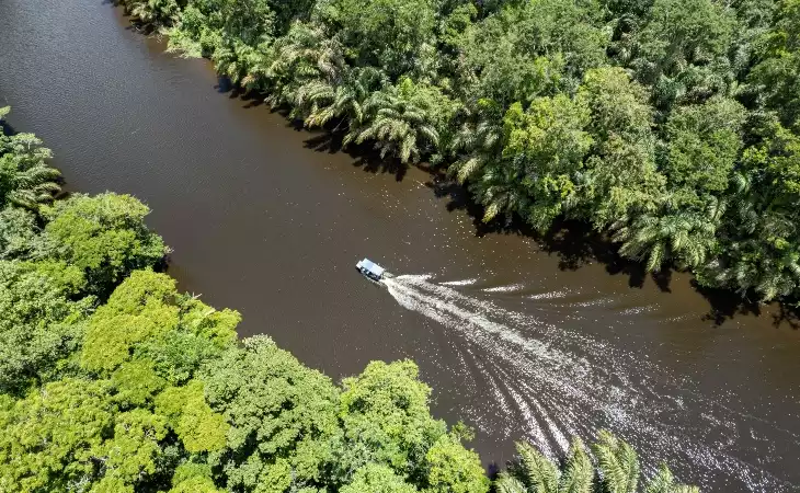 Tortuguero National Park Cruise