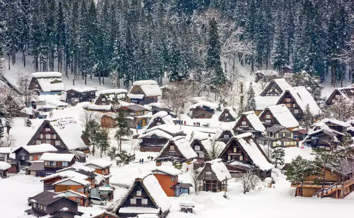 Visit Shirakawago 