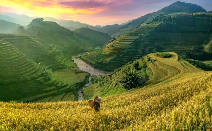 Discover the Hapao Rice Terraces