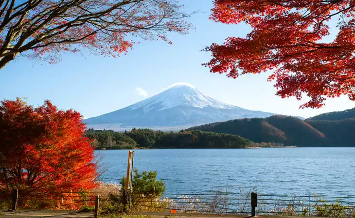 View Mount Fuji