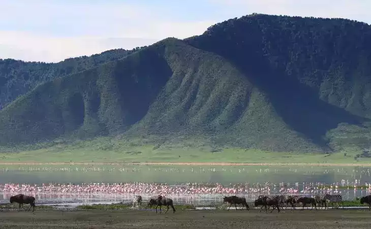 Ngorongoro Crater