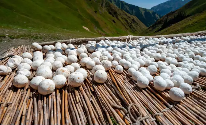 Try kurut, the region's iconic cheese