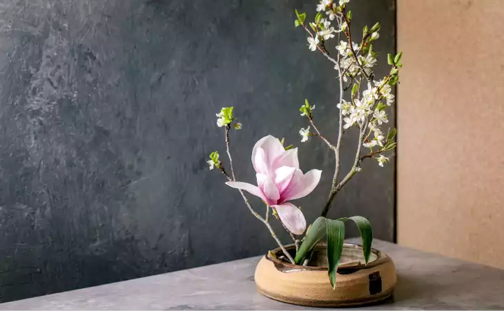 Discover the art of ikebana