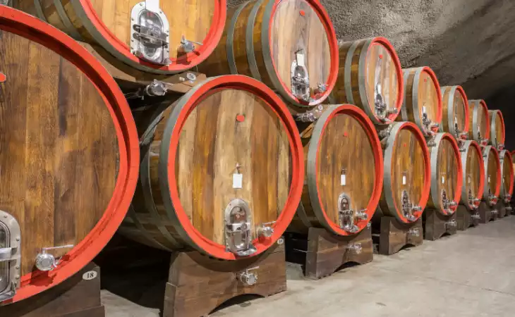 Wine-Paired Dinner at a Montenegrin Winery