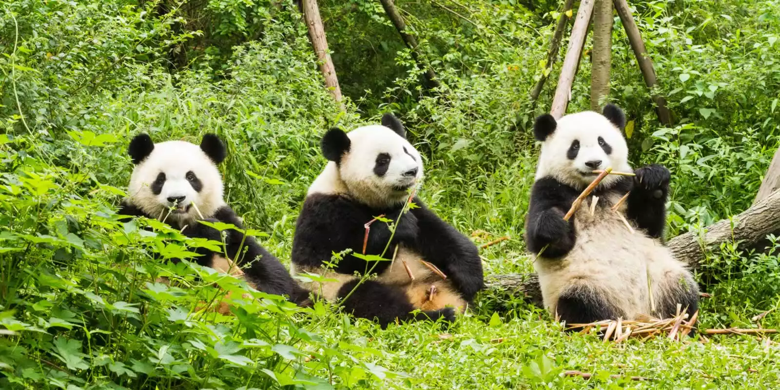 Things to see in China