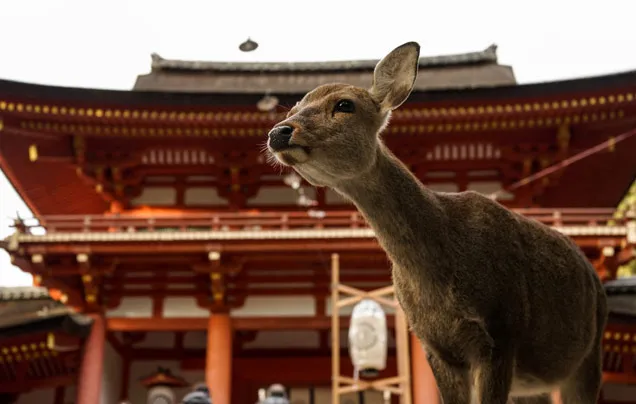 Tour image