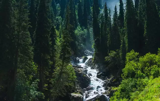 DAY 6: Golden Eagle Hunting - Karakol