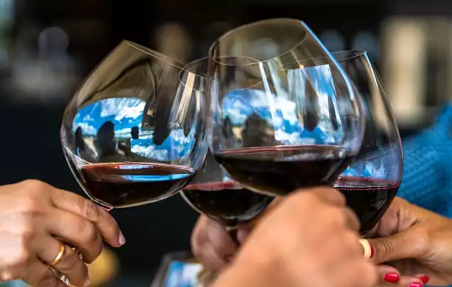 DAY 3: WINE TASTINGS