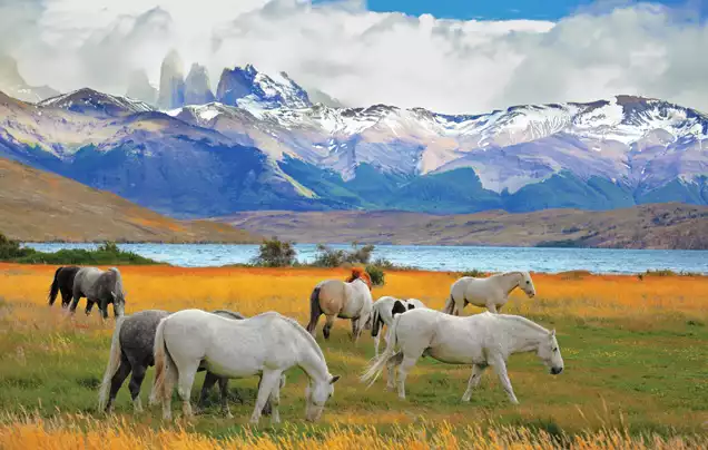 DAY 1: ARRIVE TORRES DEL PAINE NATIONAL PARK