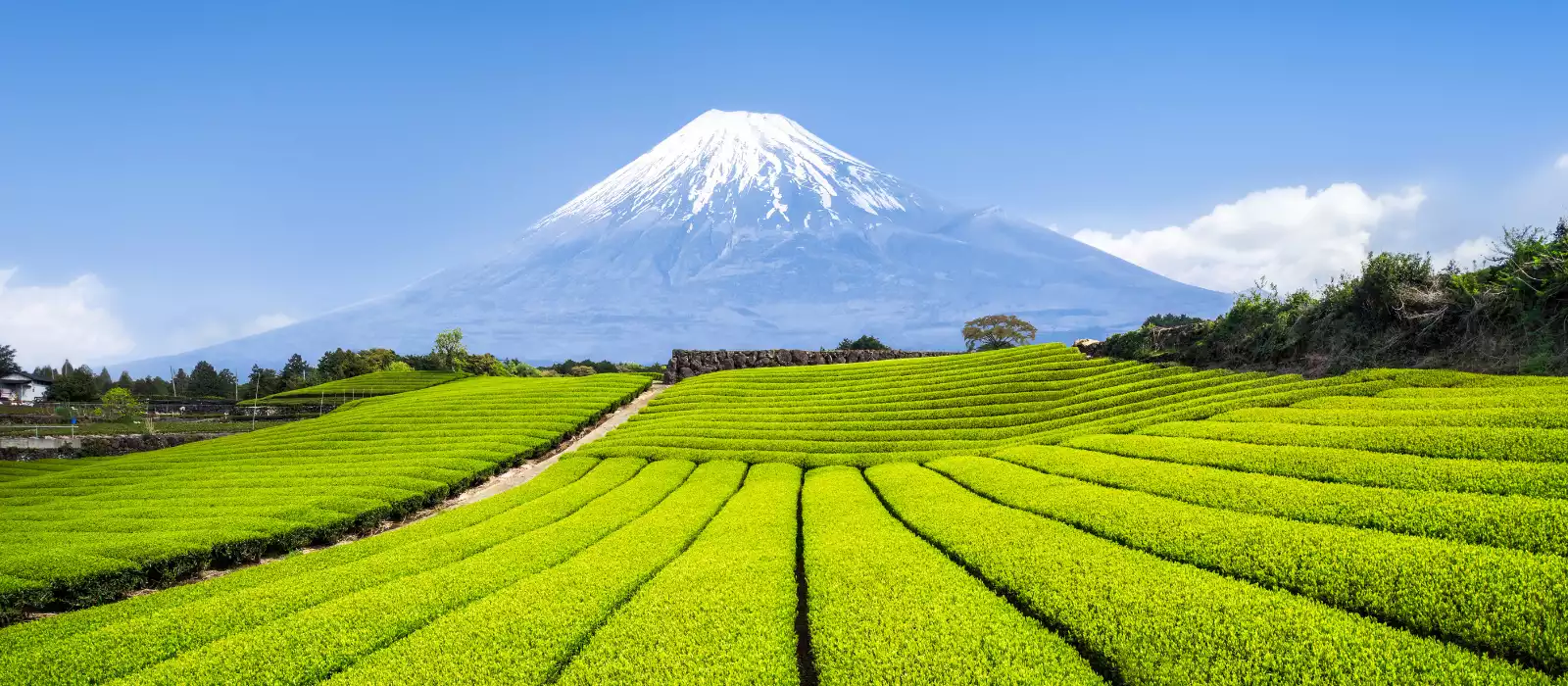 2026 Getaway Savings