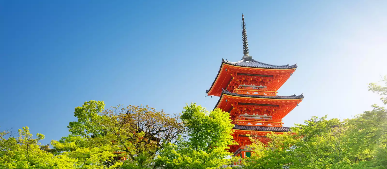 New Japan & South Korea Brorchure